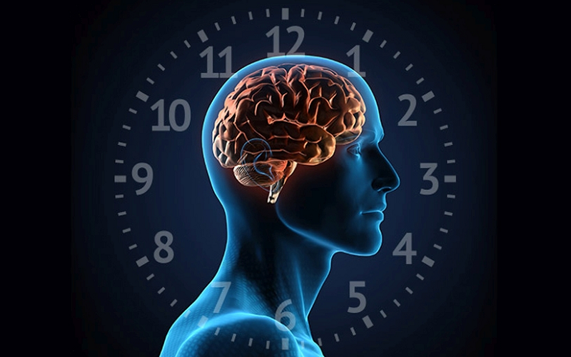 The Rhythm of Sleep: Unraveling the Mystery of Your Biological Clock