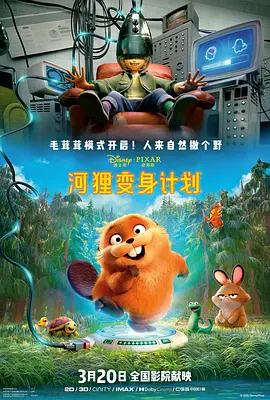 五月婷综合网