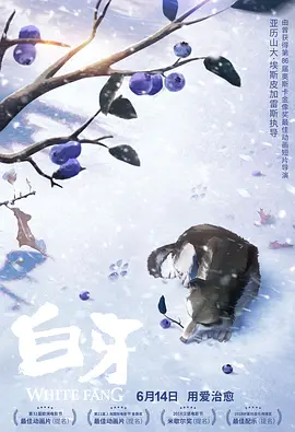 国产精品午夜国产小视频