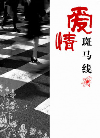 其它的特殊服务