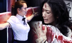 五月情网